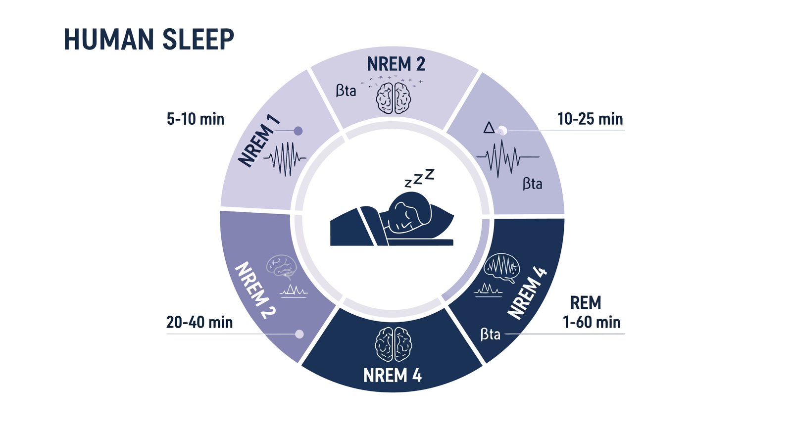 Peaceful sleep environment